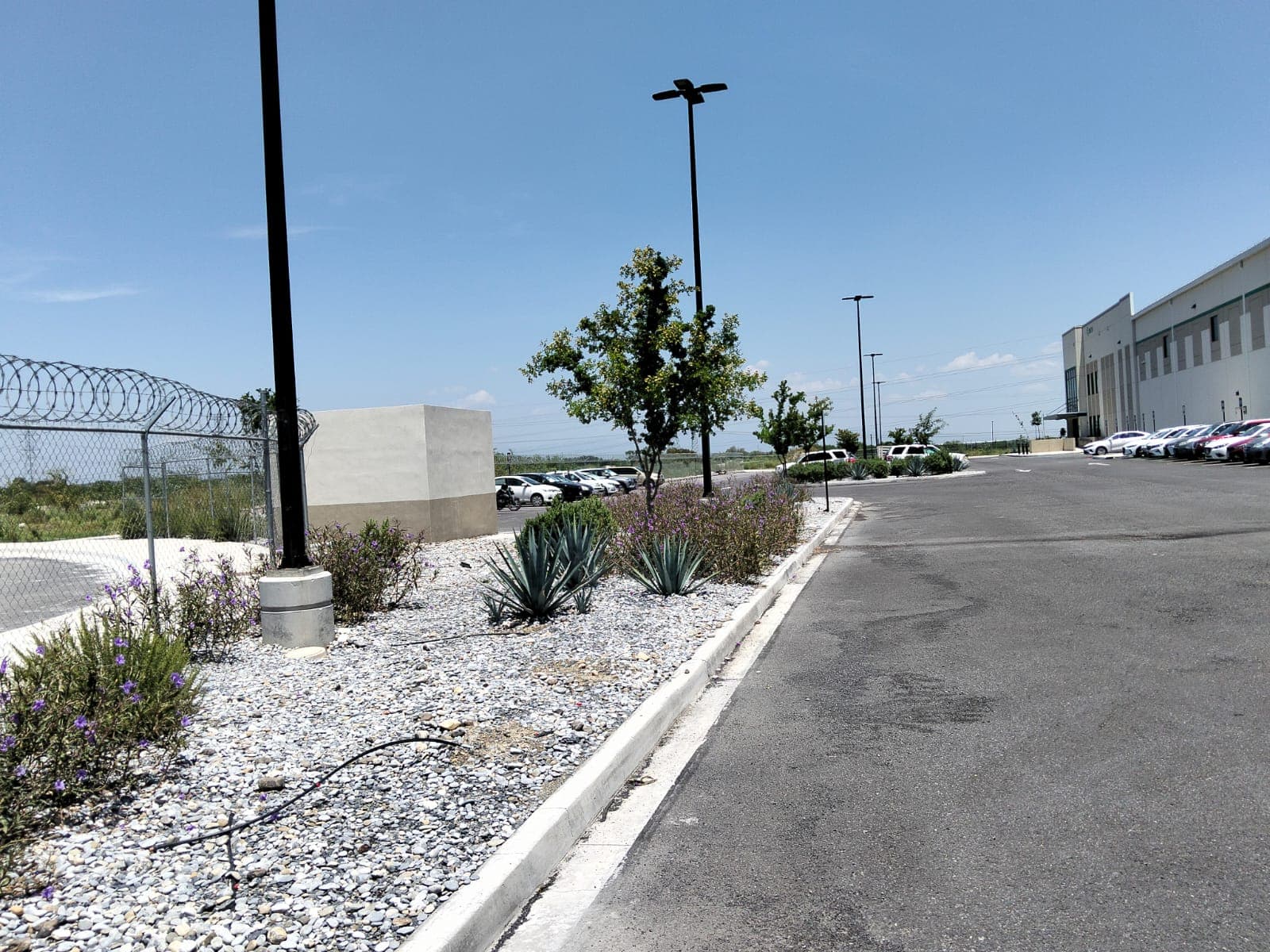 Áreas verdes en estacionamiento de parque industrial